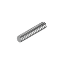 Vite Rullata D.12 P.4  Iso 7  TBI SCR1204