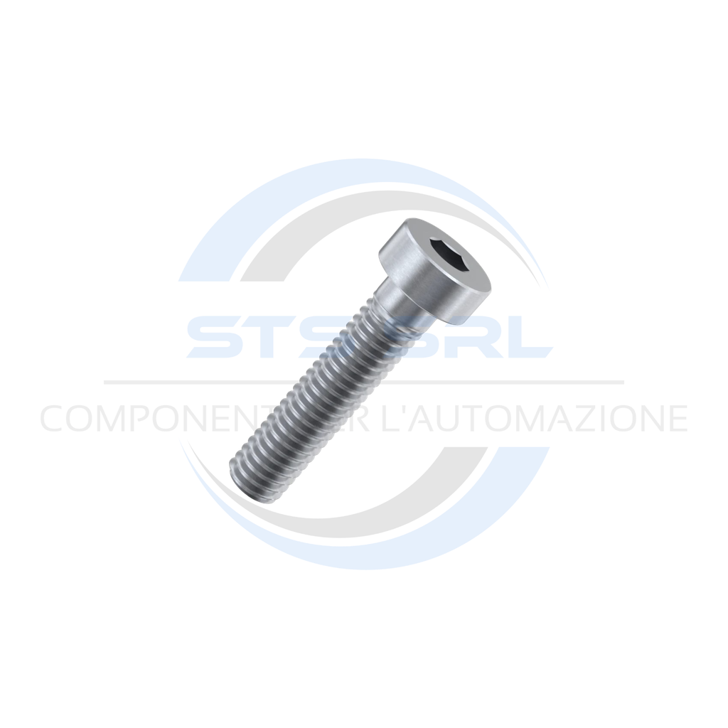 Full Threaded Low Cap Screws M8x16